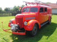 /album/fotogalerie-erena6/pict0258-jpg1/